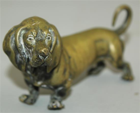 An early 20th century Austrian bronze model of a Daschund, 5in.